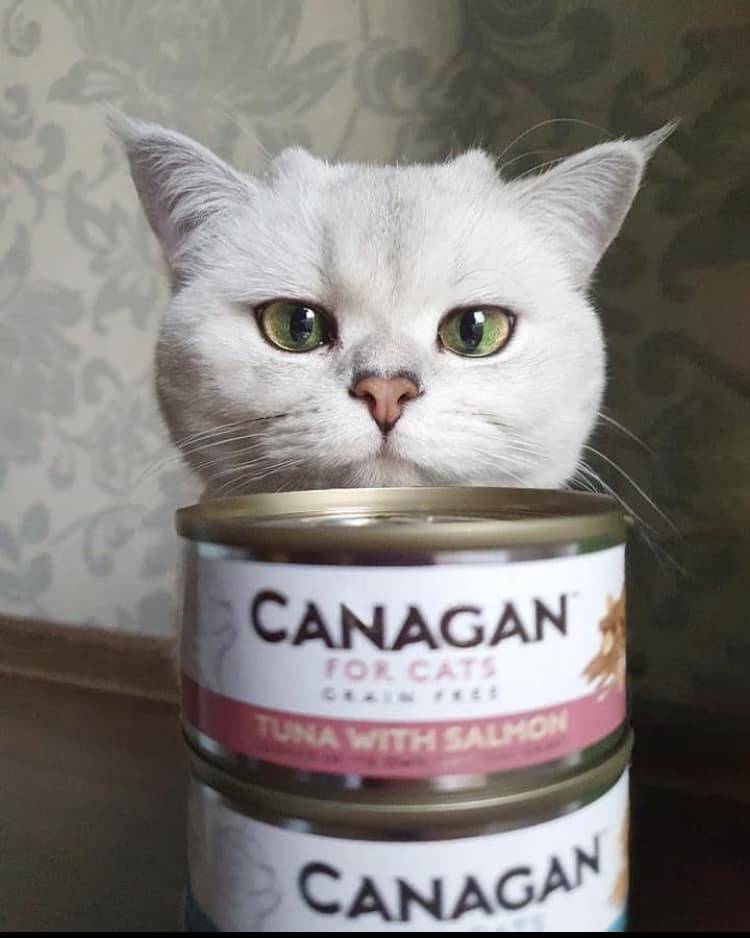 Un marchio etico, trasparente e sostenibile