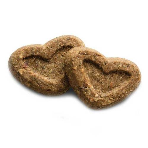 Canagan Biscuit Bakes 150 gr - Salmone