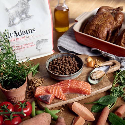 McAdams Small Breed Pollo Ruspante & Salmone Scozzese