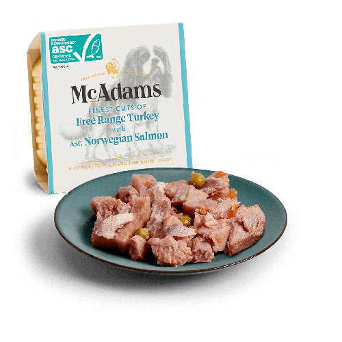 McAdams Tacchino Ruspante con  MSC Salmone Norvegese Umido per cani