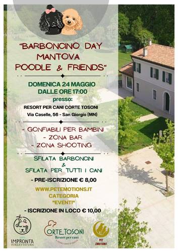 BARBONCINO DAY MANTOVA - POODLE & FRIENDS