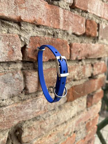 Collare Holga Leash Biothane - BLU