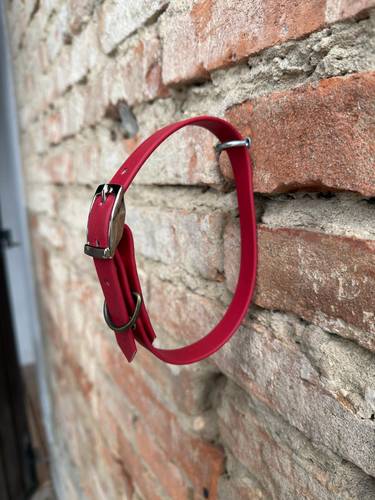 Collare Holga Leash Biothane - CRIMSON RED
