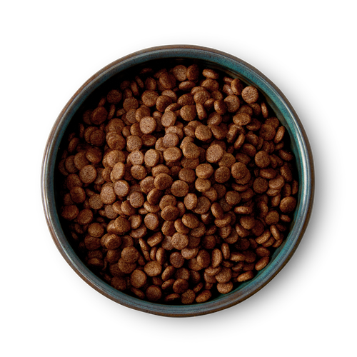 McAdams Puppy Pollo Ruspante